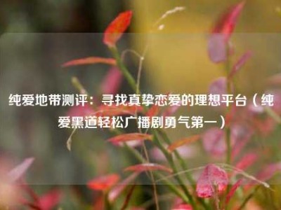 纯爱地带测评：寻找真挚恋爱的理想平台（纯爱黑道轻松广播剧勇气第一）