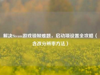 解决Steam游戏锁帧难题，启动项设置全攻略（含改分辨率方法）
