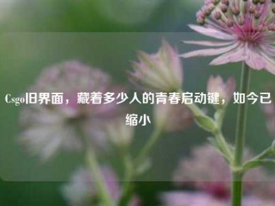 Csgo旧界面，藏着多少人的青春启动键，如今已缩小
