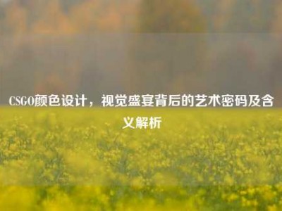 CSGO颜色设计，视觉盛宴背后的艺术密码及含义解析