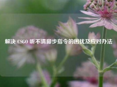 解决 CSGO 听不清脚步指令的困扰及应对办法