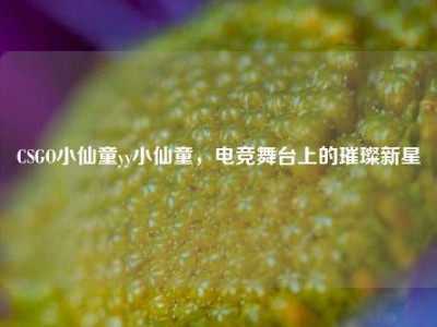 CSGO小仙童yy小仙童，电竞舞台上的璀璨新星