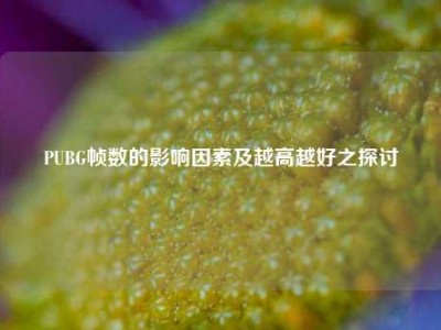 PUBG帧数的影响因素及越高越好之探讨