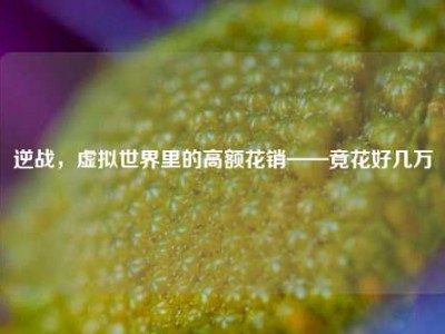 逆战，虚拟世界里的高额花销——竟花好几万