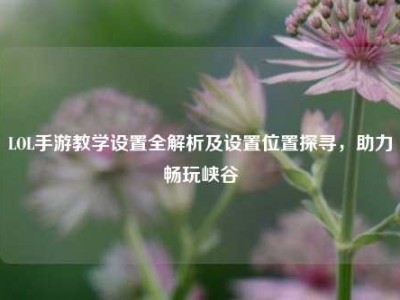 LOL手游教学设置全解析及设置位置探寻，助力畅玩峡谷