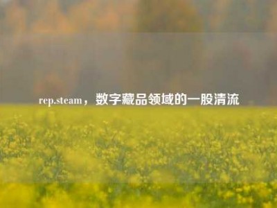 rep.steam，数字藏品领域的一股清流