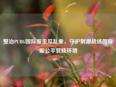 整治PUBG国际服歪瓜乱象，守护刺激战场国际服公平竞技环境