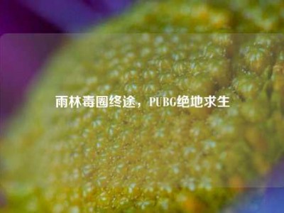 雨林毒圈终途，PUBG绝地求生