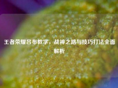 王者荣耀吕布教学，战神之路与技巧打法全面解析