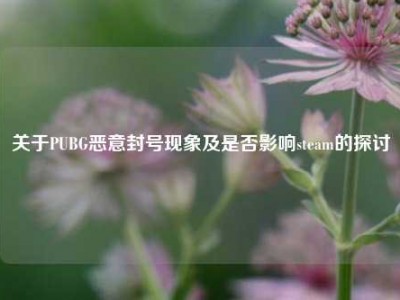 关于PUBG恶意封号现象及是否影响steam的探讨
