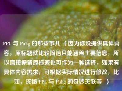 PPL 与 Pubg 的那些事儿 （因为你没提供具体内容，原标题就比较简洁且能涵盖主要信息，所以直接保留原标题也可作为一种选择，如果有具体内容需求，可根据实际情况进行修改，比如，探秘 PPL 与 Pubg 的奇妙关联等  ）