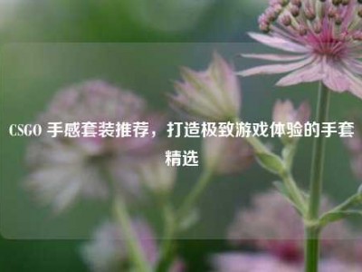 CSGO 手感套装推荐，打造极致游戏体验的手套精选
