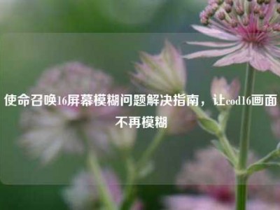 使命召唤16屏幕模糊问题解决指南，让cod16画面不再模糊