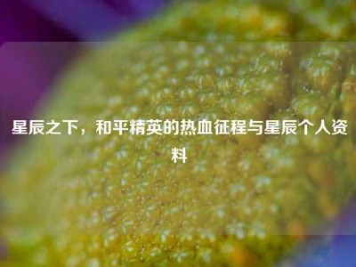 星辰之下，和平精英的热血征程与星辰个人资料