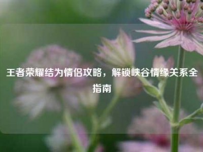 王者荣耀结为情侣攻略，解锁峡谷情缘关系全指南