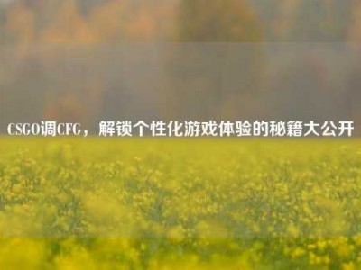 CSGO调CFG，解锁个性化游戏体验的秘籍大公开