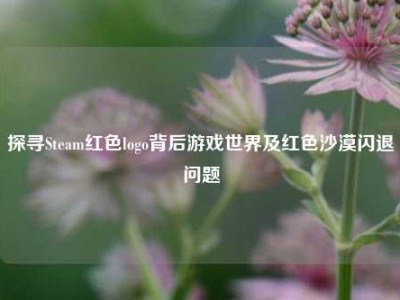 探寻Steam红色logo背后游戏世界及红色沙漠闪退问题