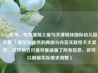 Pubg苏冉，电竞璀璨之星与天津格林国际幼儿园学费 （感觉你提供的两部分内容关联性不太紧密，这样组合只是尽量涵盖了所有信息，你可以根据实际需求调整）