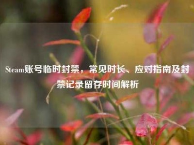Steam账号临时封禁，常见时长、应对指南及封禁记录留存时间解析