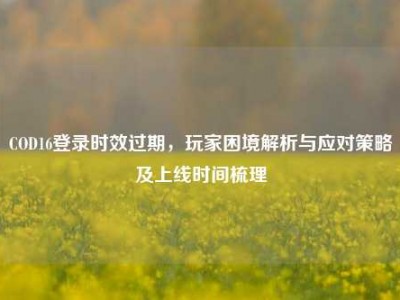 COD16登录时效过期，玩家困境解析与应对策略及上线时间梳理