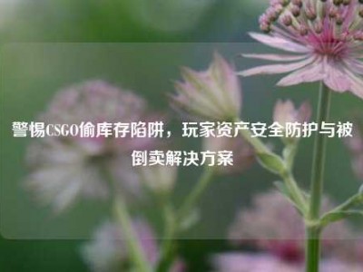 警惕CSGO偷库存陷阱，玩家资产安全防护与被倒卖解决方案