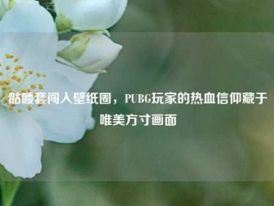 骷髅套闯入壁纸圈，PUBG玩家的热血信仰藏于唯美方寸画面