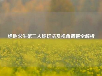 绝地求生第三人称玩法及视角调整全解析