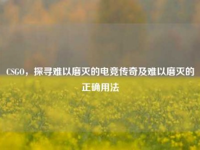 CSGO，探寻难以磨灭的电竞传奇及难以磨灭的正确用法