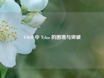 CSGO 中 Tyloo 的困境与突破