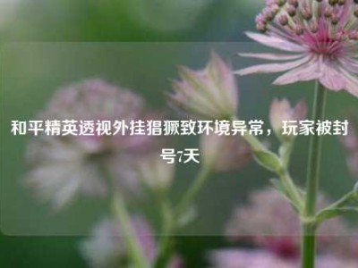 和平精英透视外挂猖獗致环境异常，玩家被封号7天