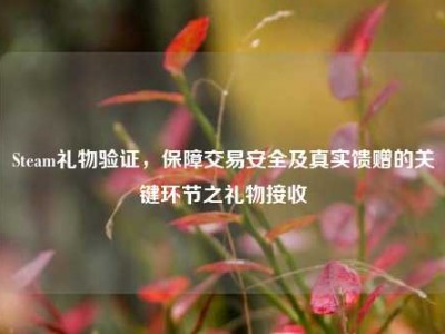Steam礼物验证，保障交易安全及真实馈赠的关键环节之礼物接收