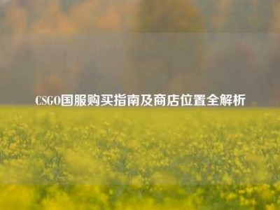 CSGO国服购买指南及商店位置全解析