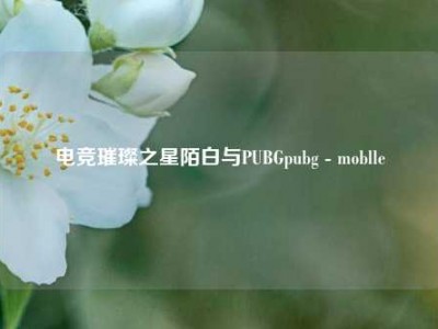 电竞璀璨之星陌白与PUBGpubg - moblle
