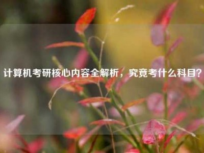 计算机考研核心内容全解析，究竟考什么科目？