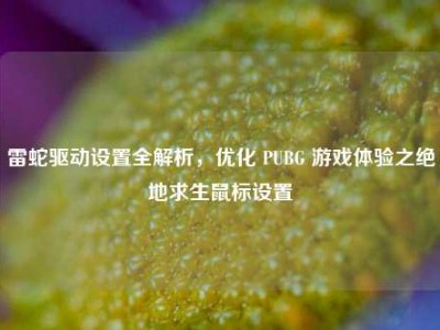 雷蛇驱动设置全解析，优化 PUBG 游戏体验之绝地求生鼠标设置