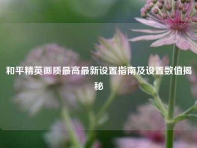 和平精英画质最高最新设置指南及设置数值揭秘
