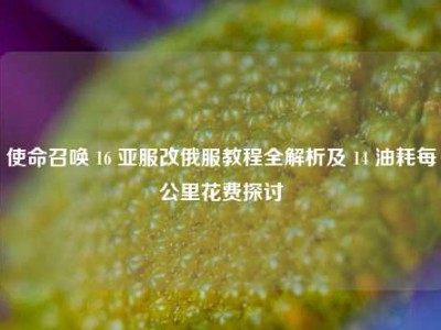 使命召唤 16 亚服改俄服教程全解析及 14 油耗每公里花费探讨