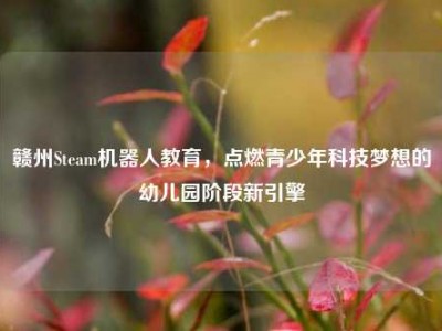 赣州Steam机器人教育，点燃青少年科技梦想的幼儿园阶段新引擎