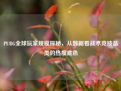 PUBG全球玩家规模探秘，从数据看战术竞技品类的热度底色
