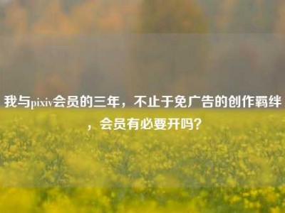 我与pixiv会员的三年，不止于免广告的创作羁绊，会员有必要开吗？