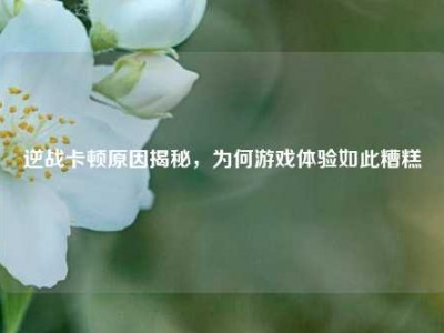 逆战卡顿原因揭秘，为何游戏体验如此糟糕