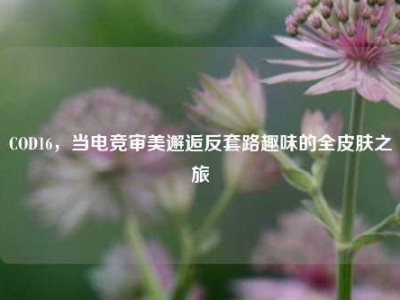 COD16，当电竞审美邂逅反套路趣味的全皮肤之旅