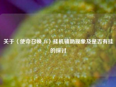 关于〈使命召唤 16〉挂机辅助现象及是否有挂的探讨