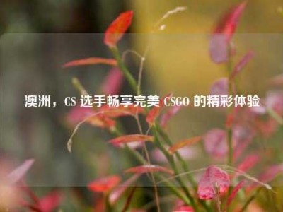 澳洲，CS 选手畅享完美 CSGO 的精彩体验