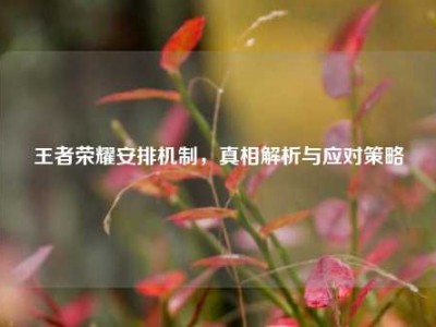 王者荣耀安排机制，真相解析与应对策略
