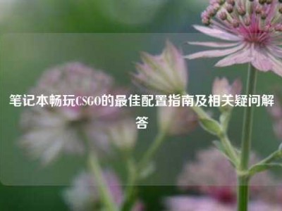 笔记本畅玩CSGO的最佳配置指南及相关疑问解答