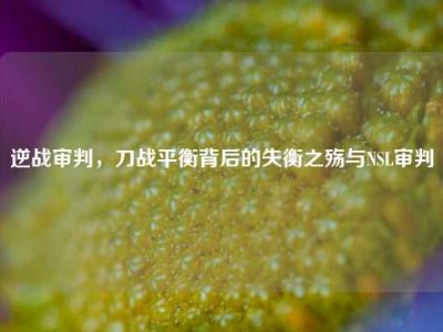 逆战审判，刀战平衡背后的失衡之殇与NSL审判