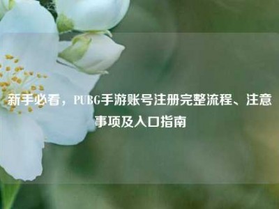 新手必看，PUBG手游账号注册完整流程、注意事项及入口指南