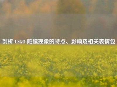 剖析 CSGO 陀螺现象的特点、影响及相关表情包