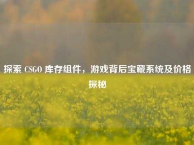 探索 CSGO 库存组件，游戏背后宝藏系统及价格探秘